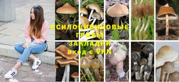 крисы Липки