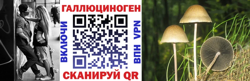 Галлюциногенные грибы MAGIC MUSHROOMS  маркетплейс клад  гидра сайт  Сунжа  купить  