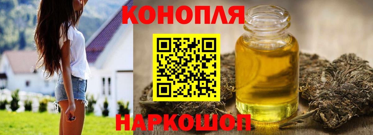 Каннабис план Сунжа